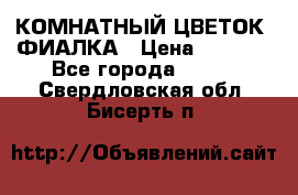 КОМНАТНЫЙ ЦВЕТОК -ФИАЛКА › Цена ­ 1 500 - Все города  »    . Свердловская обл.,Бисерть п.